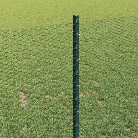 Płot i Słup Zielony 1 x 100 m Stal