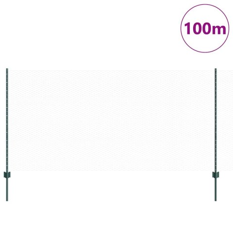 Płot i Słup Zielony 1,2 x 100 m Stal
