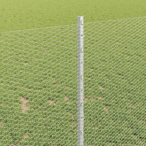 Płot i Słup Srebrny 1 x 100 m Stal