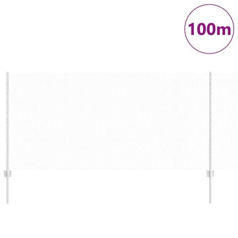 Płot i Słup Srebrny 1 x 100 m Stal