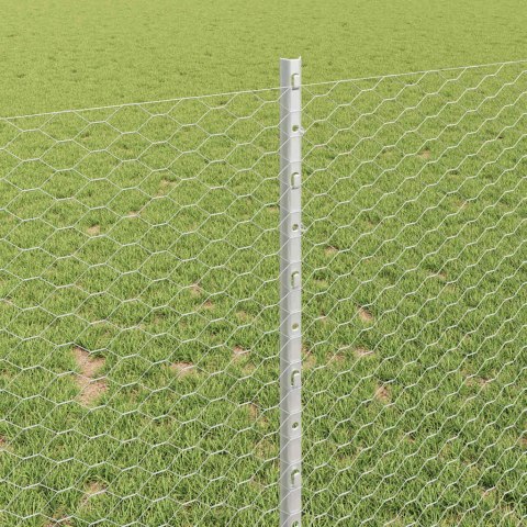 Płot i Słup Srebrny 1 x 100 m Stal