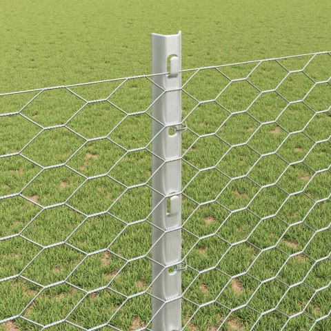 Płot i Słup Srebrny 1,2 x 100 m Stal