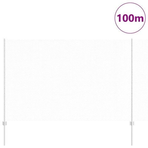 Płot i Słup Srebrny 1,6 x 100 m Stal