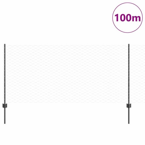 Płot i Słup Szary 1 x 100 m Stal