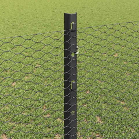 Płot i Słup Szary 1,2 x 100 m Stal