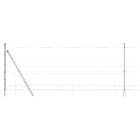 Ogrodzenie pastwiskowe Srebrny 100 x 1 m Stal galwanizowana