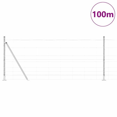 Ogrodzenie pastwiskowe Srebrny 100 x 1 m Stal galwanizowana