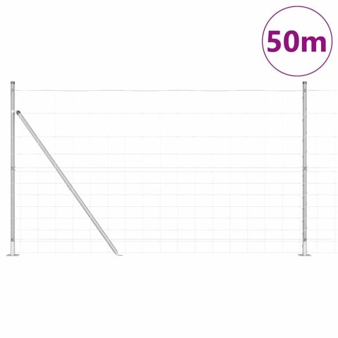 Ogrodzenie pastwiskowe Srebrny 50 x 1.4 m Stal galwanizowana