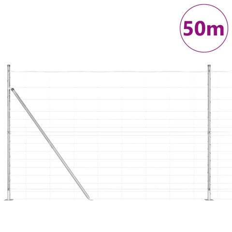 Ogrodzenie pastwiskowe Srebrny 50 x 1.6 m Stal galwanizowana