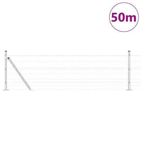 Ogrodzenie z słupkami Srebrny 0.6 x 50 m Stal