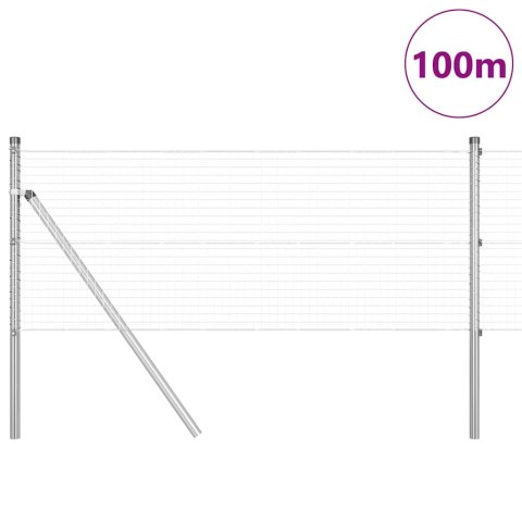 Ogrodzenie z słupkami Srebrny 0.5 x 100 m Stal