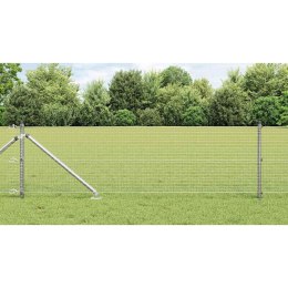 Ogrodzenie z słupkami Srebrny 0.6 x 50 m Stal