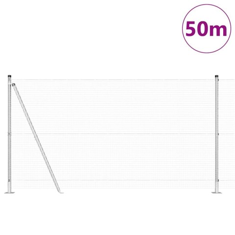 Ogrodzenie z słupkami Srebrny 1.2 x 50 m Stal