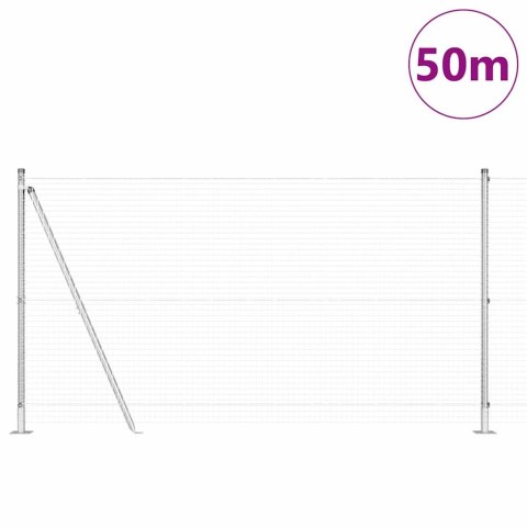 Ogrodzenie z słupkami Srebrny 1.2 x 50 m Stal