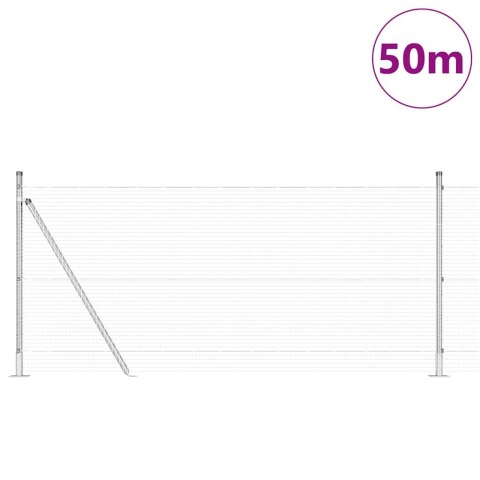 Ogrodzenie z słupkami Srebrny 0.8 x 100 m Stal