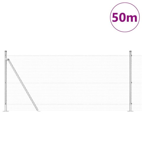 Ogrodzenie z słupkami Srebrny 0.8 x 100 m Stal
