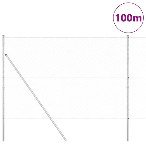 Ogrodzenie z słupkami Srebrny 1.5 x 100 m Stal pokryta PCV