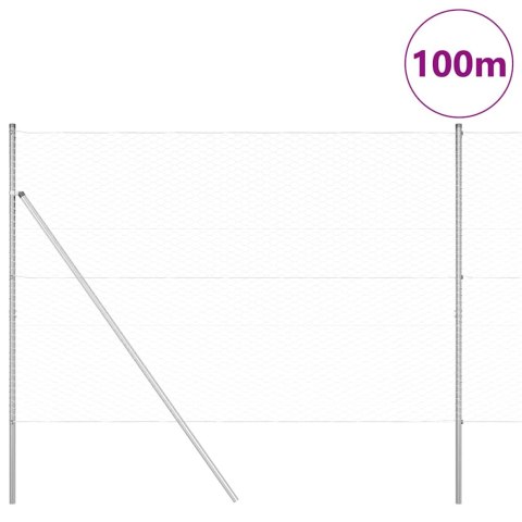 Ogrodzenie z słupkami Srebrny 1.6 x 100 m Stal pokryta PCV