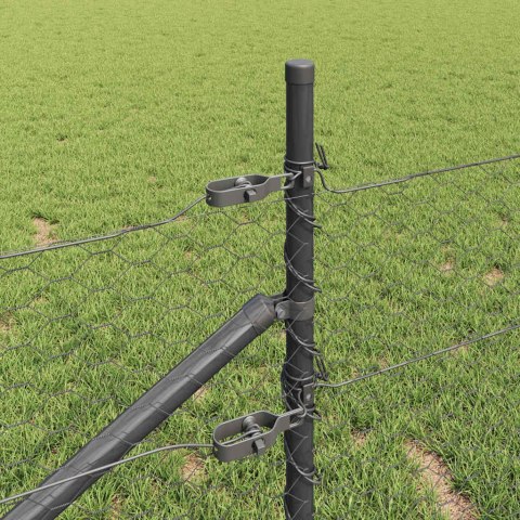 Ogrodzenie z słupkami Szary 0.8 x 100 m Stal pokryta PCV