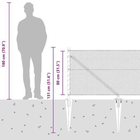 Ogrodzenie z słupkami Szary 0.8 x 50 m Stal pokryta PCV