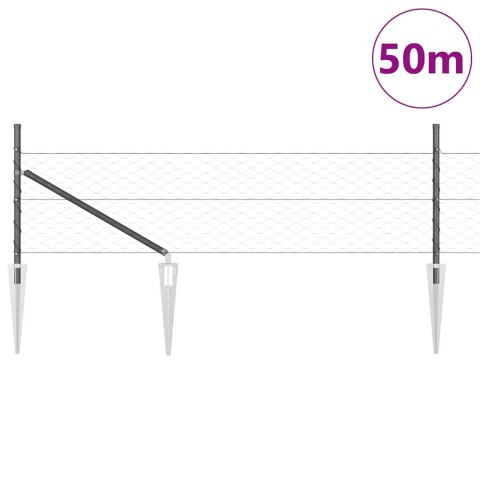 Ogrodzenie z słupkami Szary 0.8 x 50 m Stal pokryta PCV
