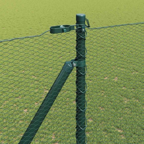 Ogrodzenie z słupkami Zielony 1.6 x 50 m Stal pokryta PCV