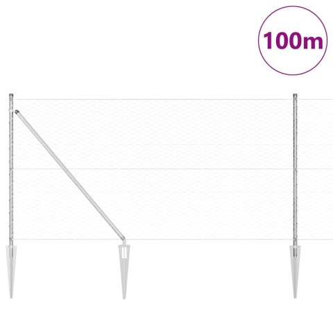 Ogrodzenie z słupkami Srebrny 1 x 100 m Stal pokryta PCV