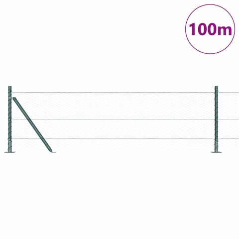 Ogrodzenie z słupkami Zielony 0.6 x 100 m Stal pokryta PCV