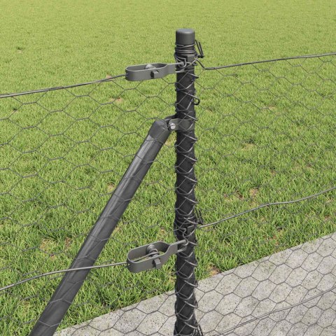Ogrodzenie z słupkami Szary 0.6 x 100 m Stal pokryta PCV