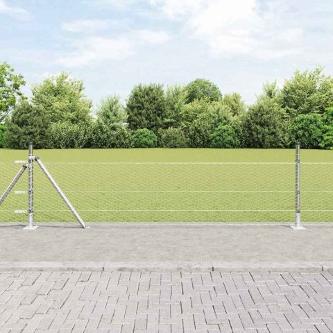 Ogrodzenie z słupkami Srebrny 0.4 x 100 m Stal pokryta PCV