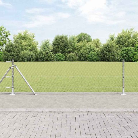 Ogrodzenie z słupkami Srebrny 0.6 x 100 m Stal pokryta PCV