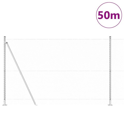 Ogrodzenie z słupkami Srebrny 1.6 x 50 m Stal pokryta PCV