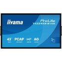 Monitor Videowall Iiyama T4329AS-B1AG 4K Ultra HD 43"