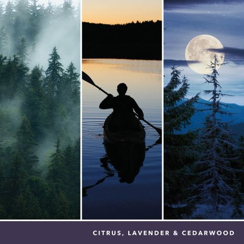 Świeczka Zapachowa Yankee Candle 1629968E