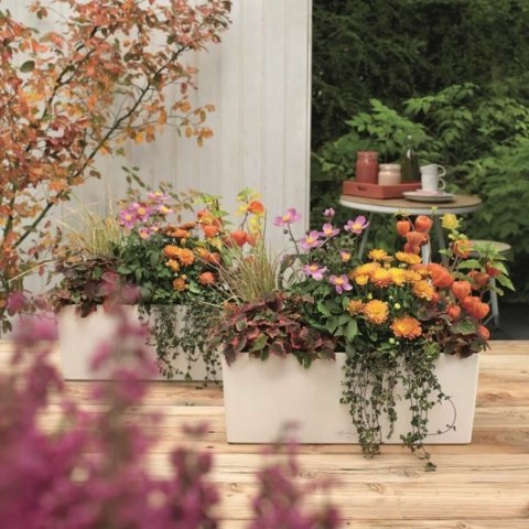 Doniczka Lechuza Biały Czarny polipropylen