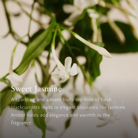 Odświeżacz powietrza Rituals PRIVATE COLLECTION