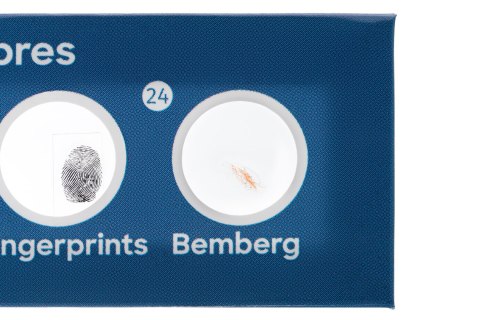 Zestaw 24 preparatów Levenhuk Discovery Flora i Fauna