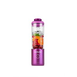 Mikser z Tworzywa Sztucznego Nutribullet NBP013GM Szary 600 ml