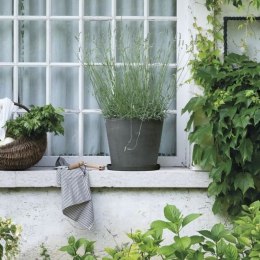 Podstawka pod Doniczkę Deroma