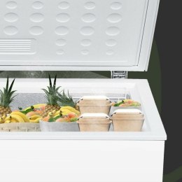 Zamrażarka Aspes ACH2002EDC