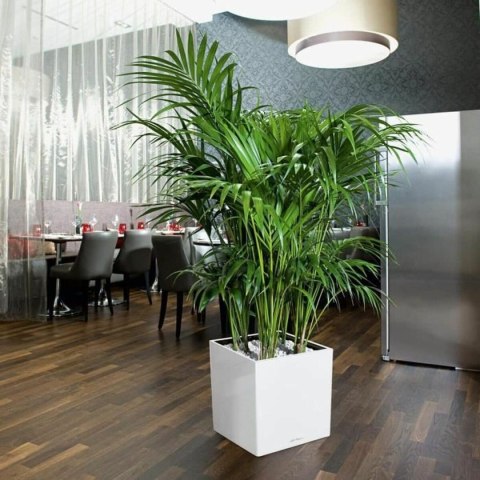 Samonawadniająca doniczka Lechuza Biały 40 x 40 cm polipropylen Plastikowy