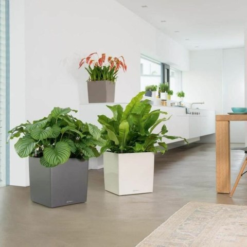 Samonawadniająca doniczka Lechuza Biały 40 x 40 cm polipropylen Plastikowy