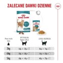ROYAL CANIN FHN Cat Ageing 11+ 4kg