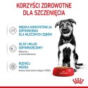 ROYAL CANIN SHN Maxi Puppy w sosie 10X140G