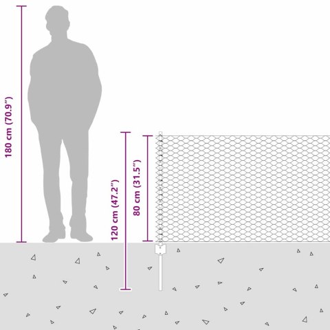Ogrodzenie z słupkiem Srebrny 0,8 x 100 m Stal