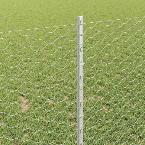 Ogrodzenie z słupkiem Srebrny 1 x 100 m Stal