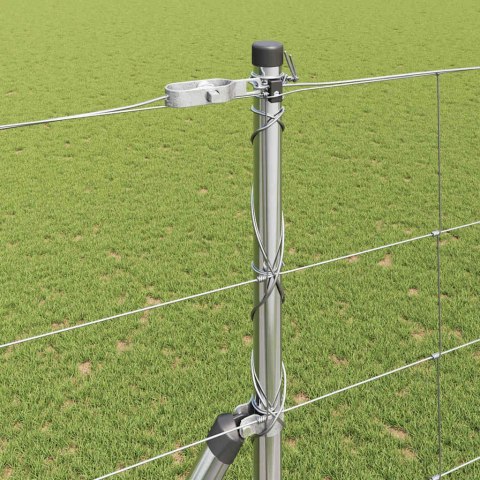 Słupek ogrodzeniowy. Galwanizowany 50 x 1,6 m Stal