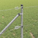 Słupek ogrodzeniowy. Srebrny 50 x 0,5 m (siatka 19 x 19 mm)