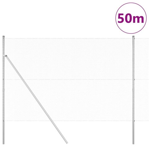 Słupek ogrodzeniowy. Srebrny 50 x 1,6 m (12 mm siatka) Stal