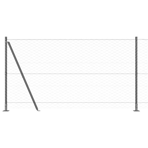 Słupek ogrodzeniowy. Szary 50 x 1,2 m (siatka 50 mm) Stal i PVC